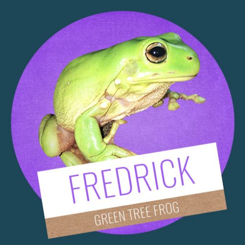 Fredrick
